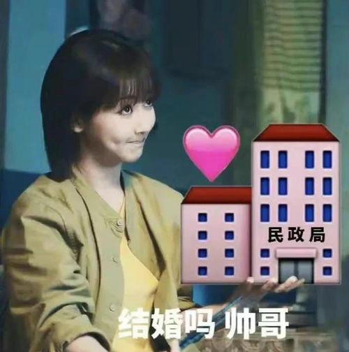 工科女勇闯娱乐圈吃瓜,勇闯“吃瓜”江湖的传奇之旅